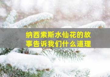 纳西索斯水仙花的故事告诉我们什么道理