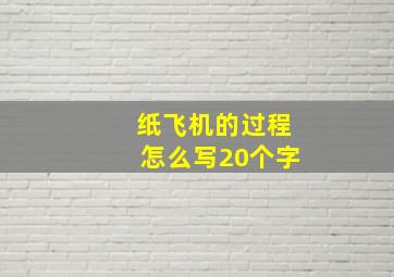 纸飞机的过程怎么写20个字