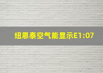 纽恩泰空气能显示E1:07