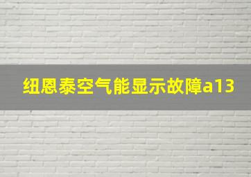 纽恩泰空气能显示故障a13