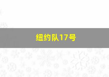 纽约队17号