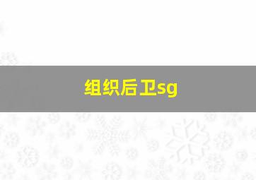 组织后卫sg