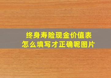 终身寿险现金价值表怎么填写才正确呢图片