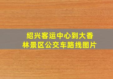 绍兴客运中心到大香林景区公交车路线图片