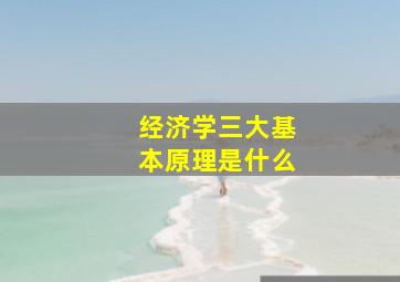 经济学三大基本原理是什么