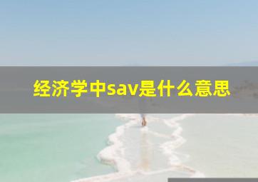 经济学中sav是什么意思