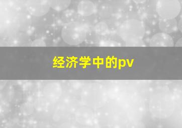 经济学中的pv