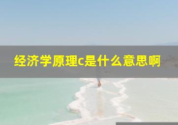 经济学原理c是什么意思啊