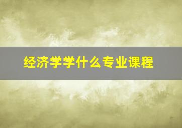 经济学学什么专业课程