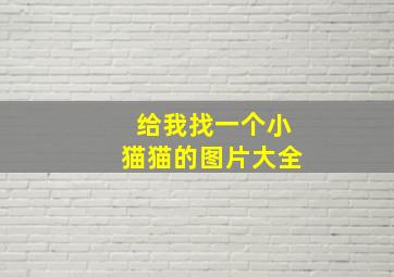 给我找一个小猫猫的图片大全