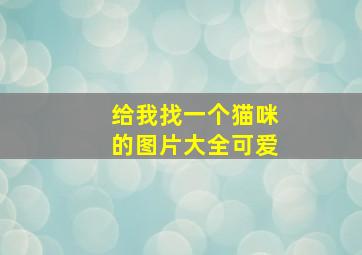 给我找一个猫咪的图片大全可爱