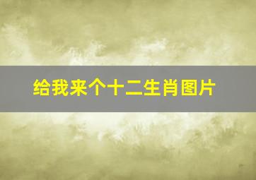 给我来个十二生肖图片