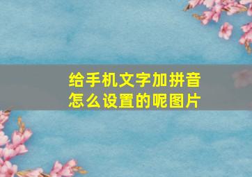 给手机文字加拼音怎么设置的呢图片