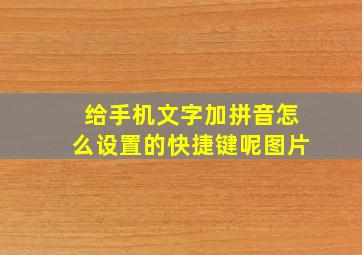 给手机文字加拼音怎么设置的快捷键呢图片