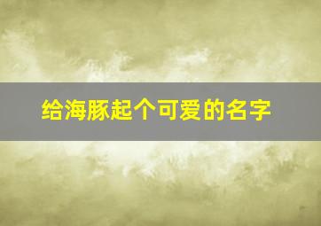 给海豚起个可爱的名字