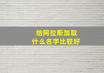 给阿拉斯加取什么名字比较好