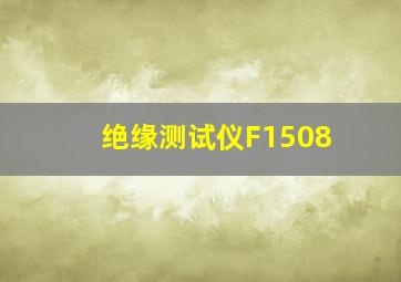 绝缘测试仪F1508