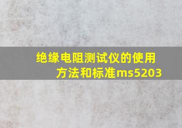 绝缘电阻测试仪的使用方法和标准ms5203