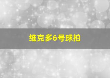 维克多6号球拍