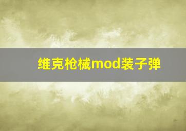 维克枪械mod装子弹