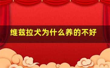 维兹拉犬为什么养的不好