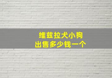 维兹拉犬小狗出售多少钱一个