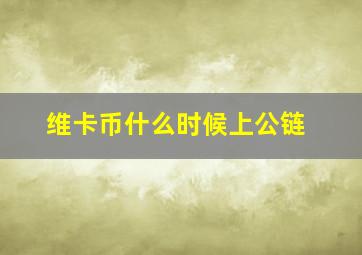 维卡币什么时候上公链