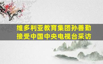 维多利亚教育集团孙善勤接受中国中央电视台采访