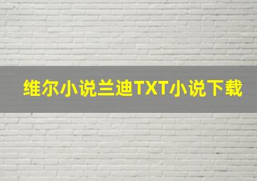 维尔小说兰迪TXT小说下载