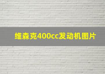 维森克400cc发动机图片