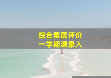 综合素质评价一学期漏录入