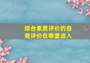 综合素质评价的自我评价在哪里进入