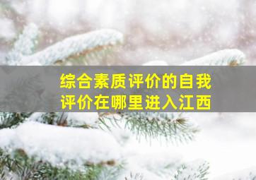 综合素质评价的自我评价在哪里进入江西