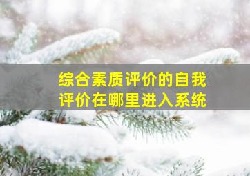 综合素质评价的自我评价在哪里进入系统