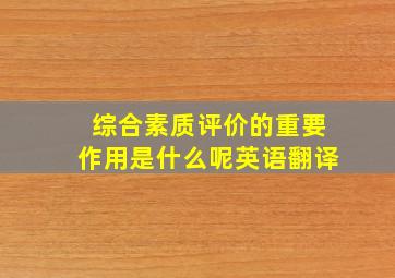 综合素质评价的重要作用是什么呢英语翻译