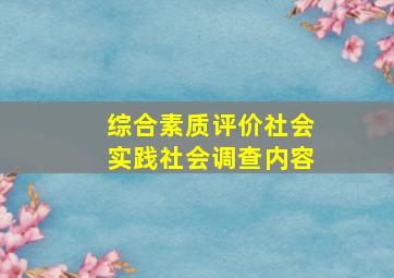 综合素质评价社会实践社会调查内容