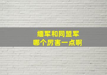 缅军和同盟军哪个厉害一点啊