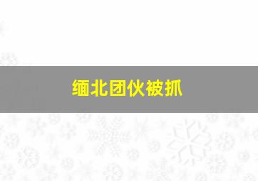 缅北团伙被抓