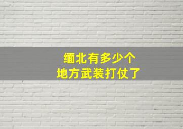 缅北有多少个地方武装打仗了