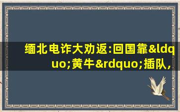 缅北电诈大劝返:回国靠“黄牛”插队,多地政府赴滇督战