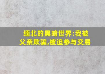 缅北的黑暗世界:我被父亲欺骗,被迫参与交易