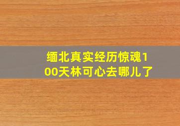 缅北真实经历惊魂100天林可心去哪儿了