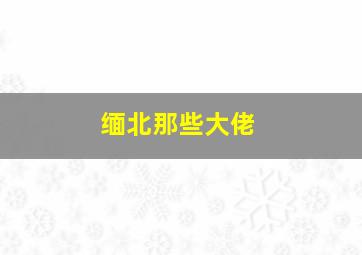 缅北那些大佬