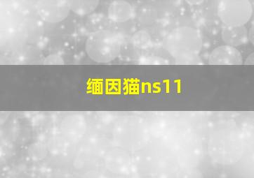 缅因猫ns11