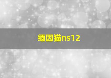 缅因猫ns12