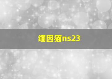 缅因猫ns23