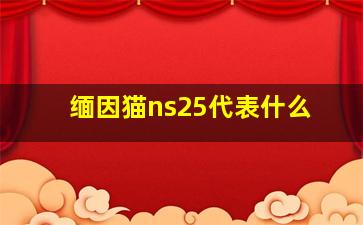 缅因猫ns25代表什么