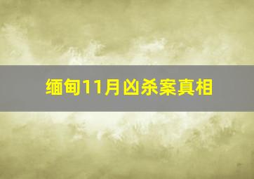 缅甸11月凶杀案真相