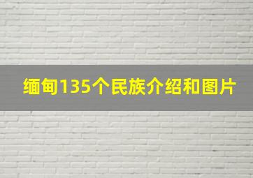 缅甸135个民族介绍和图片