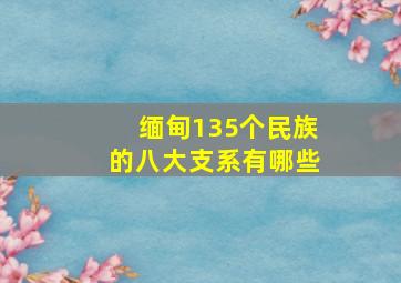 缅甸135个民族的八大支系有哪些